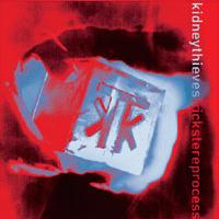 Picture for song 'Kidney Thieves - Veteran (Psychosomatic Refix)' by artist 'Psychosomatic(US)(MN)'