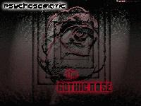 Picture for song 'The One (Instrumental Version)' by artist 'Psychosomatic(US)(MN)'
