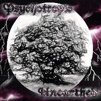 Picture for song 'A Trip Through Time' by artist 'Psychotropic'