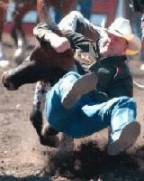 Picture for song 'Everything Turns Bad' by artist 'Psycocowboy Circus'