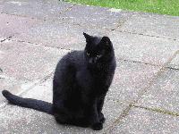 Picture for song 'isra funk' by artist 'Psy Li Yun'