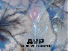 Picture for song 'Weird ass beat' by artist 'PTP'