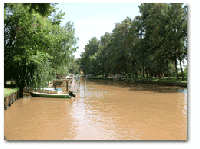 Picture for song 'Surfeando en el Paraiso' by artist 'ptt97'