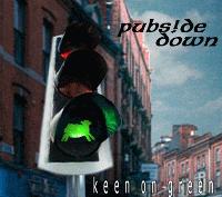 Picture for song 'rockin' landlady' by artist 'pubside down'