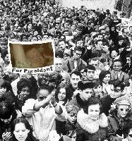 Picture for song 'Melodic Waves' by artist 'Puggs'