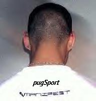Picture for song 'PugSport 1 - typeManifest' by artist 'PugSport Challenge'