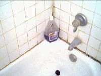 Picture for song 'payday' by artist 'PUKEBUCKET'