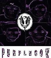 Picture for song 'thinking of you (acoustic)' by artist 'PurpleCow'