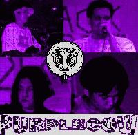 Picture for song 'Thinking of You (recorded@purpleroom)' by artist 'PurpleCow'