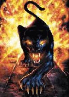 Picture for song 'arachnid vs flame.....www.rapchoice.com' by artist 'QCS FINEST'