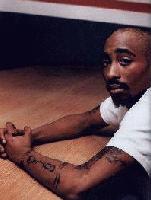 Picture for song 'THA "FINEST" NIGGAZ....(Ya-Hiness/FLaMEz collabo' by artist 'QCS FINEST'