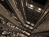 Picture for song 'Agent Q' by artist 'QD'