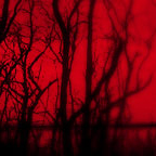 Picture for song 'Doctrine' by artist 'QD'