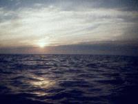Picture for song 'DayBreak' by artist 'QPD'