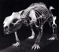 Picture for song 'Transcend' by artist 'quell'