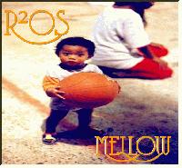 Picture for song 'R²OS - Where will you hide it' by artist 'R2OS'