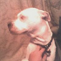 Picture for song 'Stuck 2nd try' by artist 'RaBiD BabY RecOrDS'