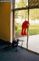 Picture for song 'Wind Trance' by artist 'Rabid Canadians'