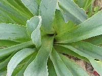 Picture for song '01.8745fm' by artist 'Radio Antena'