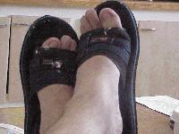 Picture for song '03 B FREE' by artist 'Radio Antena'