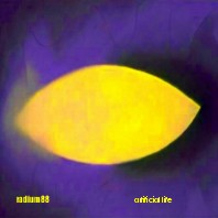 Picture for song 'headlong' by artist 'radium88'