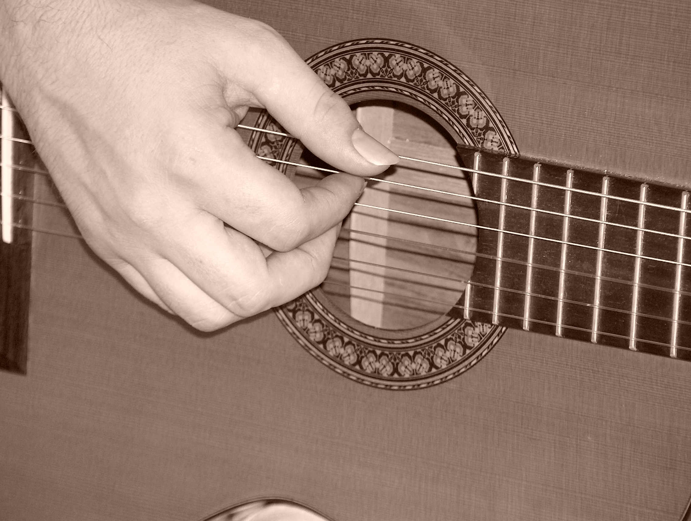Picture for song 'La portuguesa' by artist 'Ramon Mendigorri'