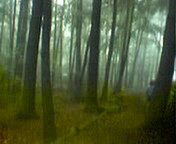 Picture for song 'Subvana' by artist 'Ramparts'