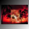Picture for song 'Spirit ( featuring Devize)' by artist 'Ramz'