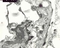 Picture for song 'fading rules' by artist 'RANDOM MUSIC SENSOR'