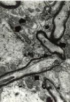 Picture for song 'modern music' by artist 'RANDOM MUSIC SENSOR'