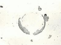 Picture for song 'sci-volume' by artist 'RANDOM MUSIC SENSOR'