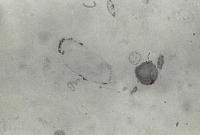 Picture for song 'Soundclick filter censorship' by artist 'RANDOM MUSIC SENSOR'