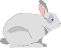 Picture for song 'RABBIT Shorten' by artist 'Rapa boys'