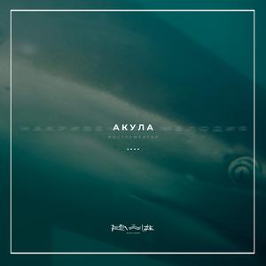 Picture for song '23. Shark' by artist 'RapaNizze'