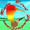 Picture for song 'Music for a lost penguin' by artist 'Rare Bird Productions'