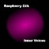 Picture for song 'Space Needle' by artist 'Raspberry Silk'