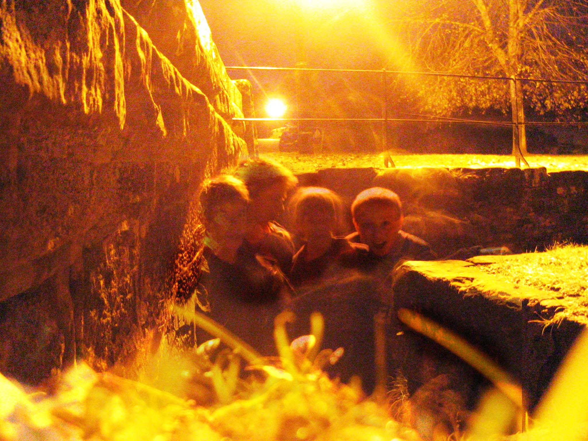 Picture for song 'Love Song # 27' by artist 'Rasputin (UK)'