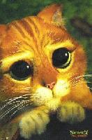 Picture for song 'Scary Movie (sample)' by artist 'rasputon2'