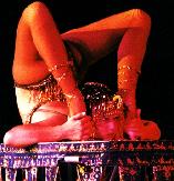 Picture for song 'Circus Riddim (Dancehall Instrumental)' by artist 'RastaBuay'