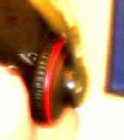 Picture for song 'DisInformation Age' by artist 'raw : audio'