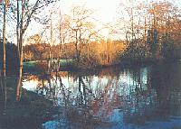 Picture for song 'Russet Lore' by artist 'raw : audio'