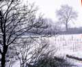 Picture for song 'Winter [instrumental]' by artist 'raw : audio'