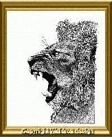 Picture for song 'Live ya Live - Crazy Craze' by artist 'RAW Breed'