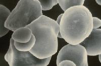 Picture for song 'Search Within' by artist 'Raw State'