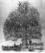 Picture for song 'DeLan Family Tree, The' by artist 'Razor Sharp Ribbons Inc'