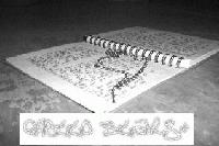 Picture for song 'One Wish' by artist 'RC Productionz'