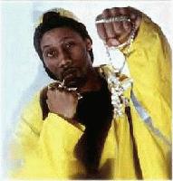 Picture for song 'Rza - Ninja Step' by artist 'RDMproductions'
