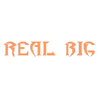 Picture for song 'GROOVE 1' by artist 'REAL BIG ENT'