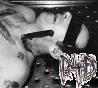 Picture for song 'WOUND' by artist 'Reason For Denial'