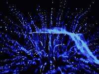 Picture for song 'Amniosis' by artist 'Reconnaissance'